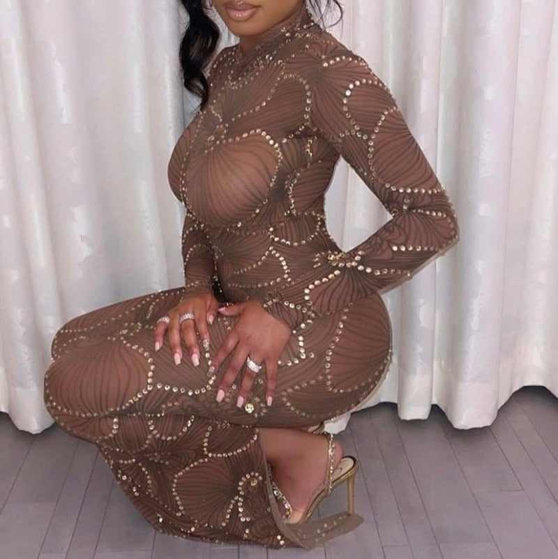 Club Bodycon See Through Long Dress