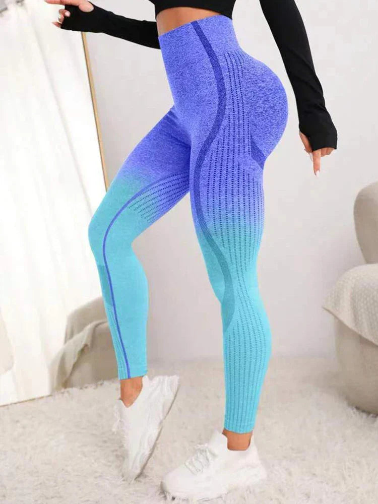 Gradient Seamless Gym Fitness Workout Yoga Legging Purple / S