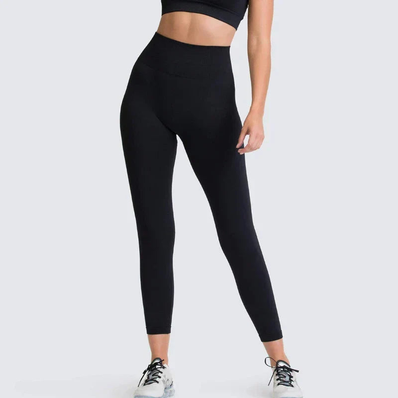 Sport Seamless High Waist Yoga Butt Lift Legging Black / S