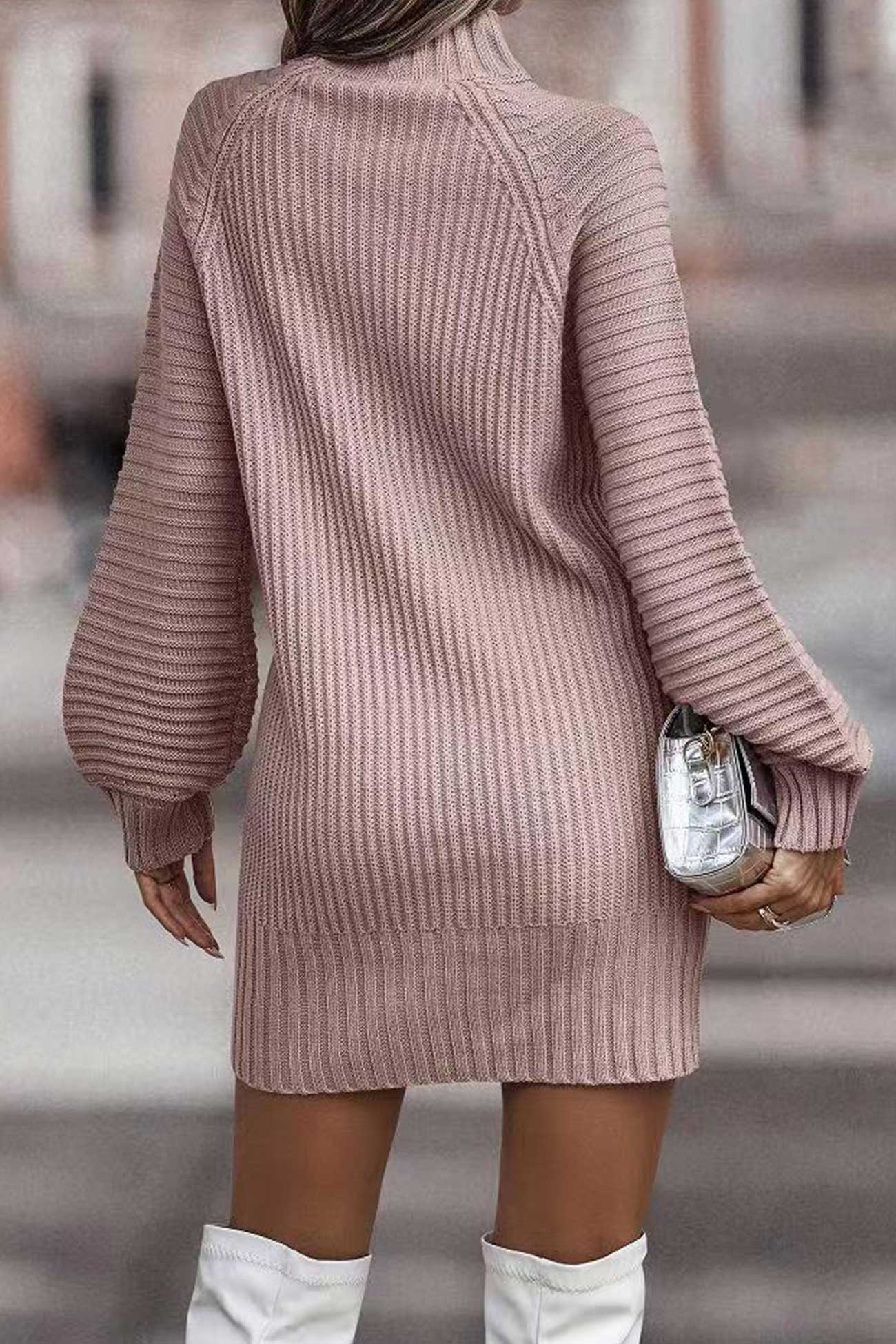 Relaxed Larisa Solid Color Turtleneck Dress for Modern Fashion Wear