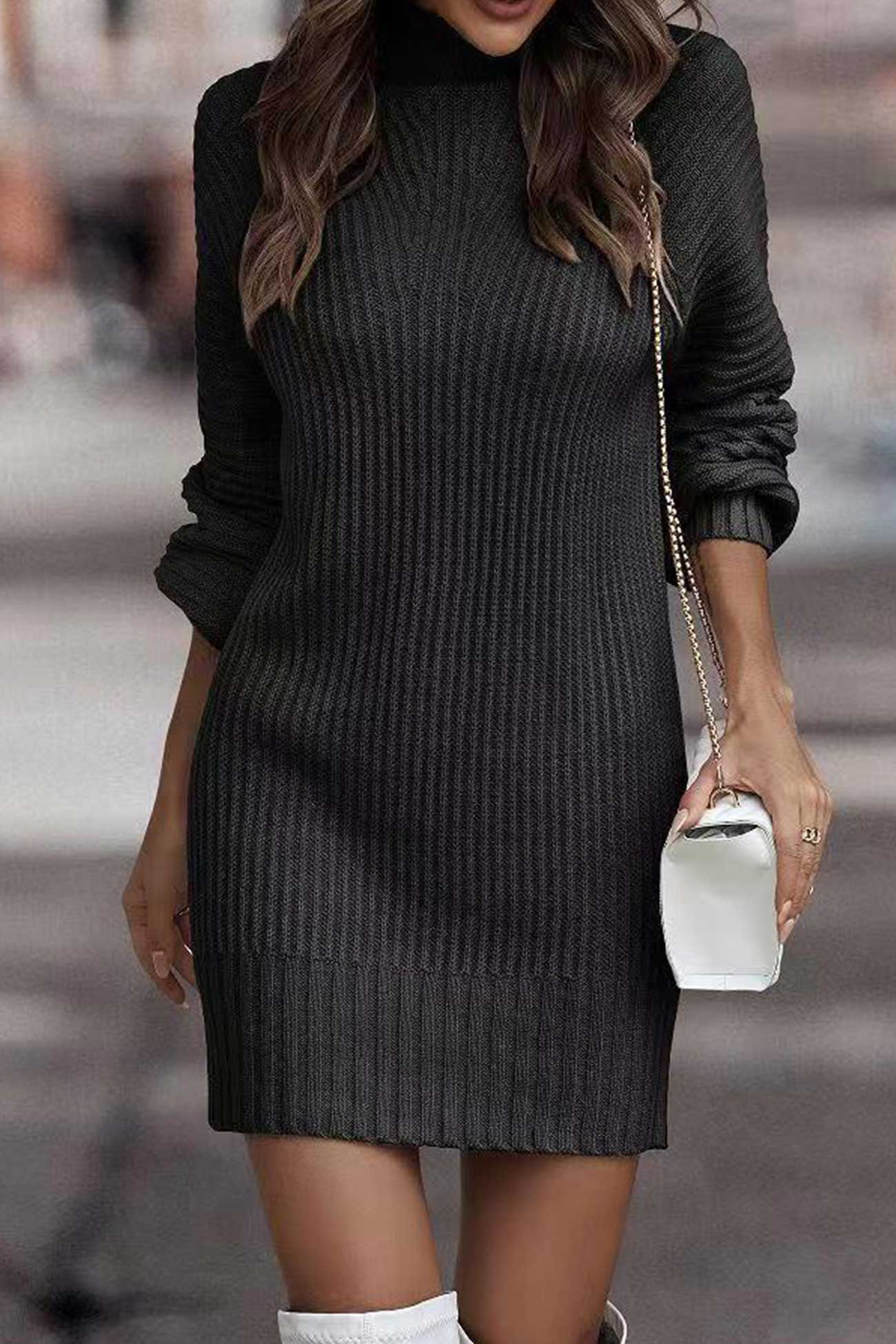 Relaxed Larisa Solid Color Turtleneck Dress for Modern Fashion Wear