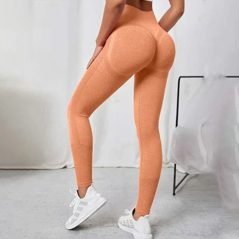 Seamless Workout Legging Orange / S