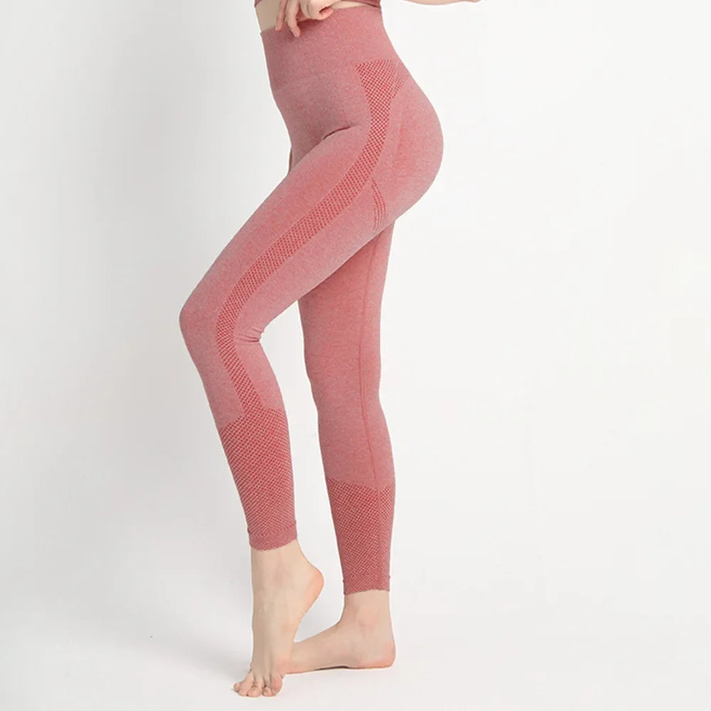 Seamless Workout Legging Red / S