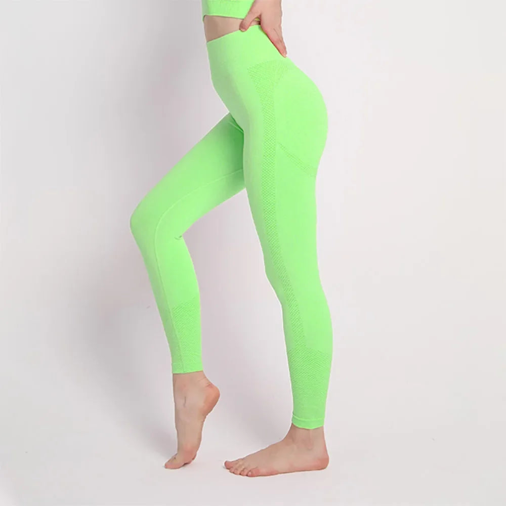 Seamless Workout Legging Fruit Green / S