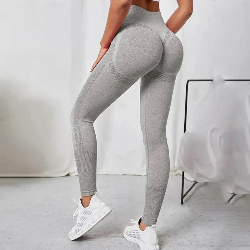 Seamless Workout Legging Gray / S