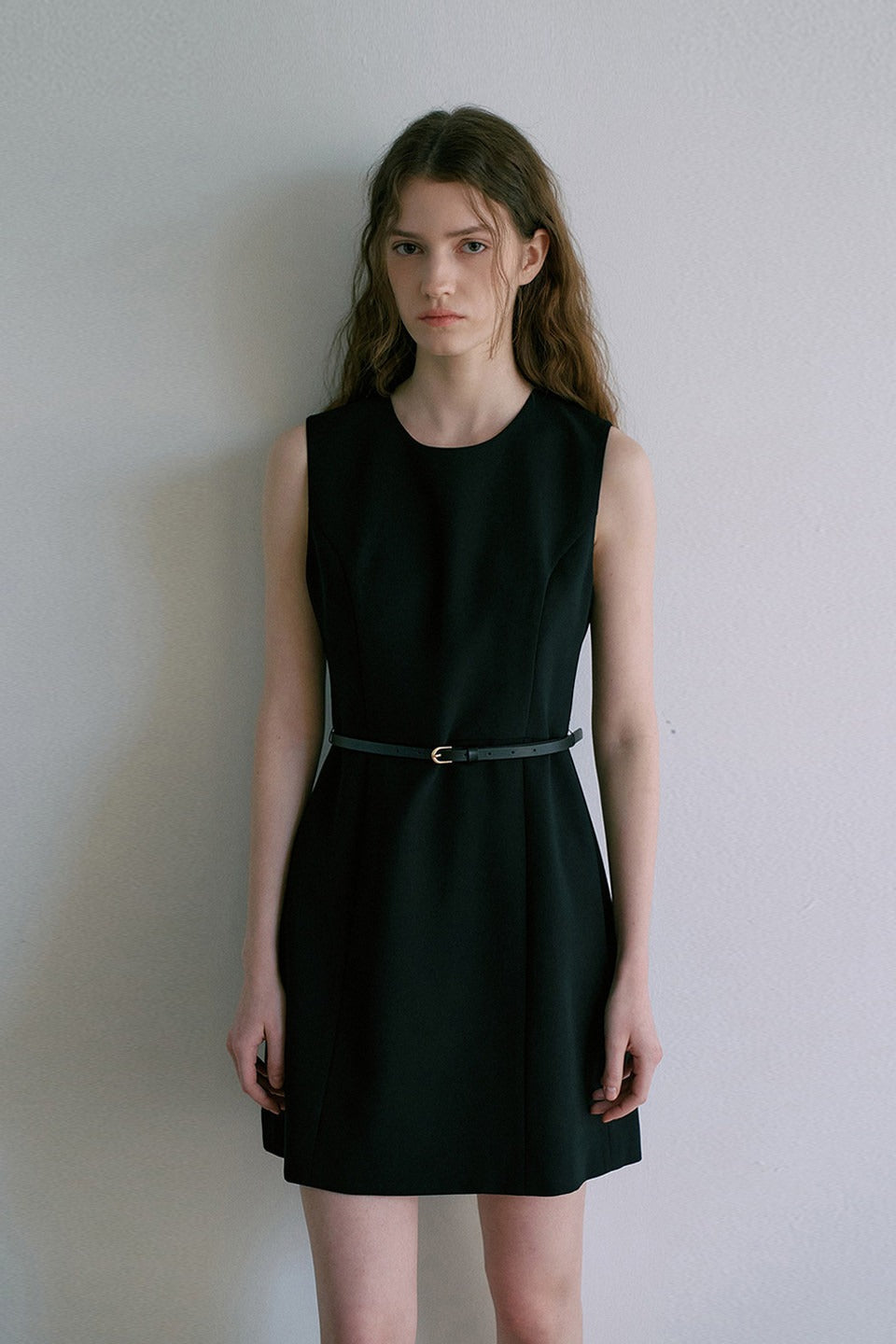 Sleeveless Cinched A Line Chic Work Dress