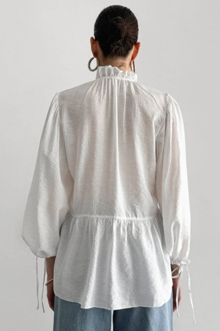Sheer Puff Sleeve Tie Blouse