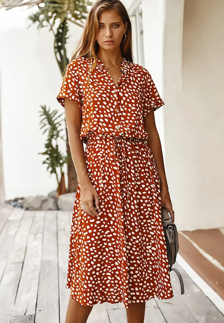 Ludmila Aesthetic Vintage Dress Chic Silhouette Collection