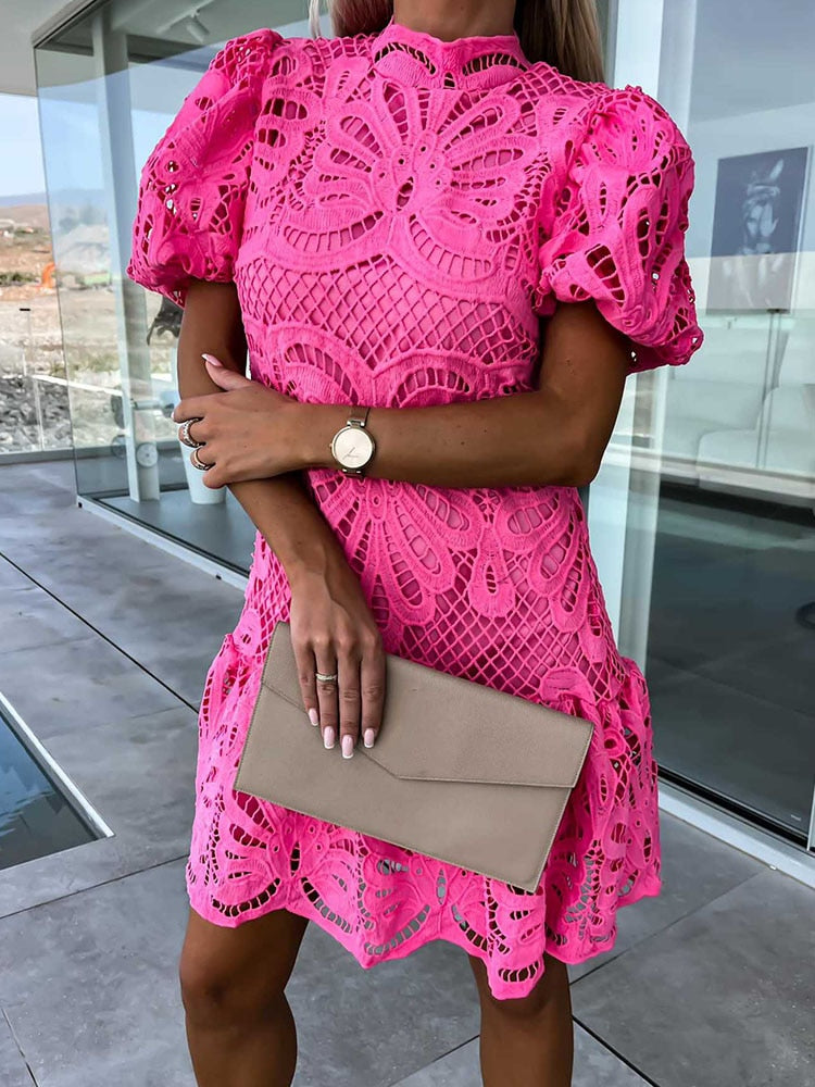 Elara Chic Stylish Puff Sleeve Lace Dress for Women Statement Occasion Edit