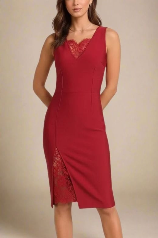 Elsa Bodycon Dress - Red Wine