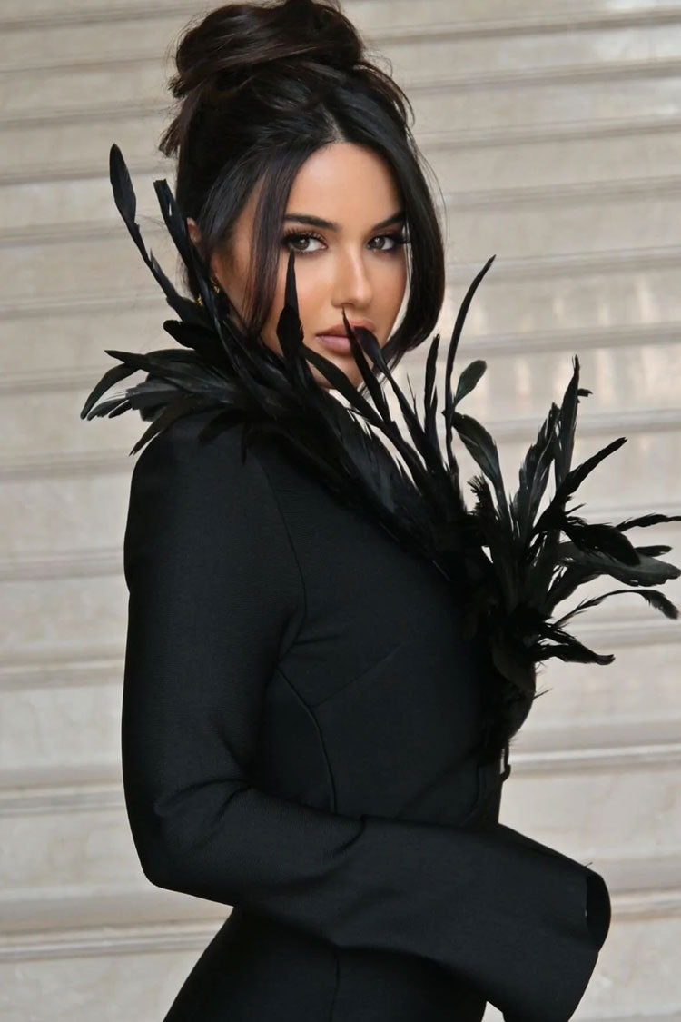 Black Deep V-Neck Feather Trim Long Sleeve Bodycon Mini Dress 3