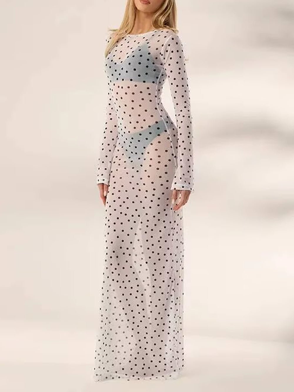 Paloma Mesh Swim Cover Maxi Dress