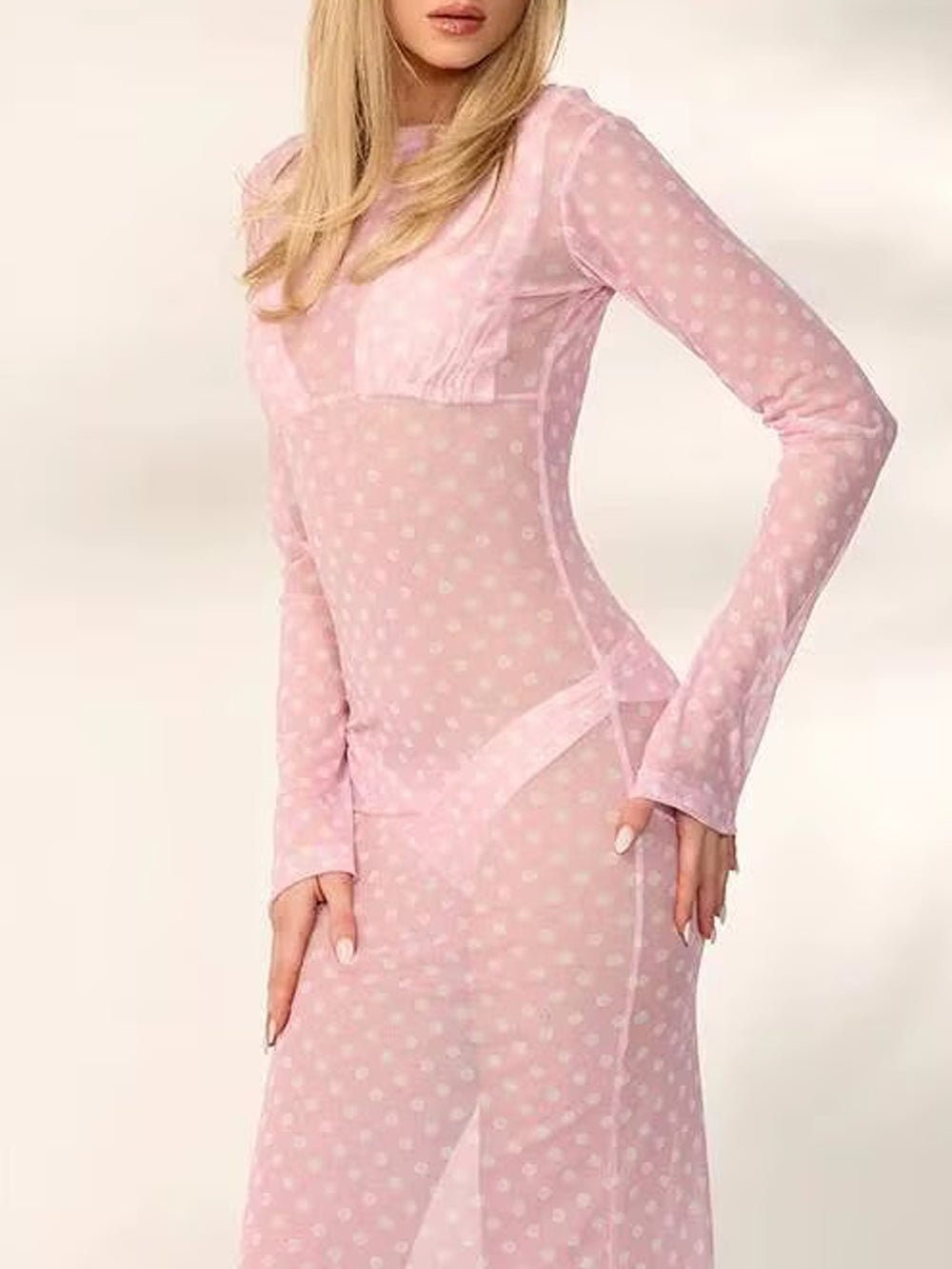Paloma Mesh Swim Cover Maxi Dress