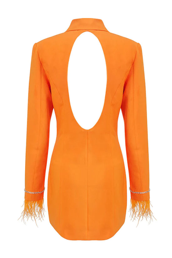 Orange Lapel Collar Long Sleeve Feather Trim Double Breasted Blazer Mini Dress