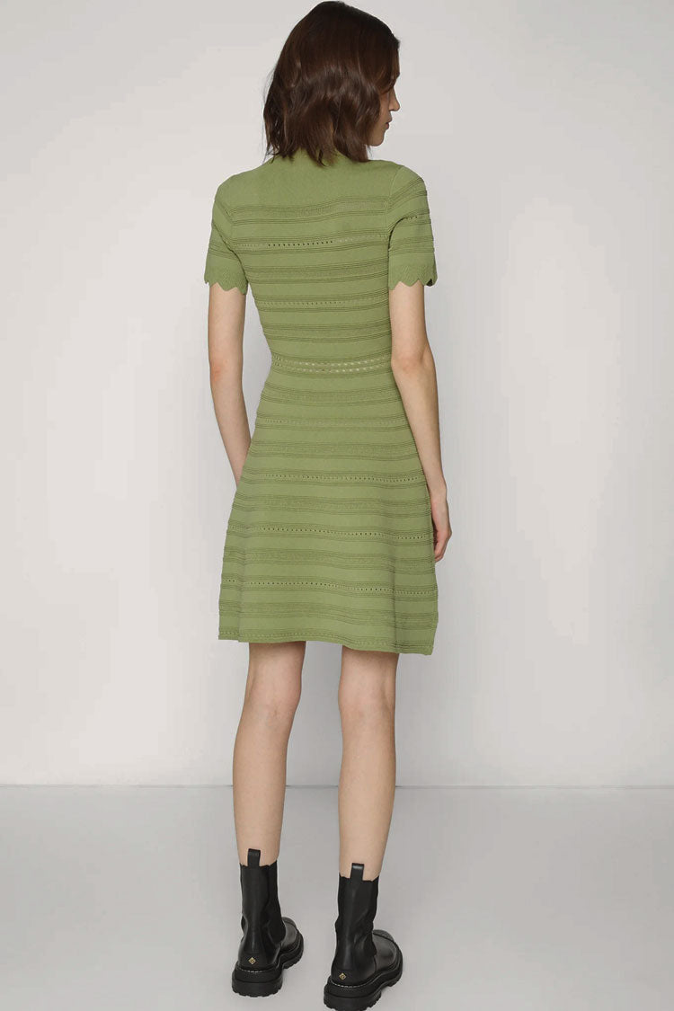 Green Scalloped V-Neck Half Button Short Sleeve Pointelle Knit A-Line Mini Dress